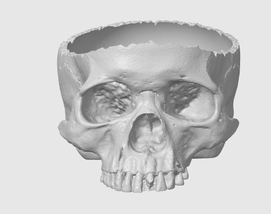 Halloween Skull Candy Dish – Spooky Tabletop Treat Bowl
