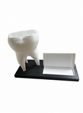 Tooth Business Card Holder