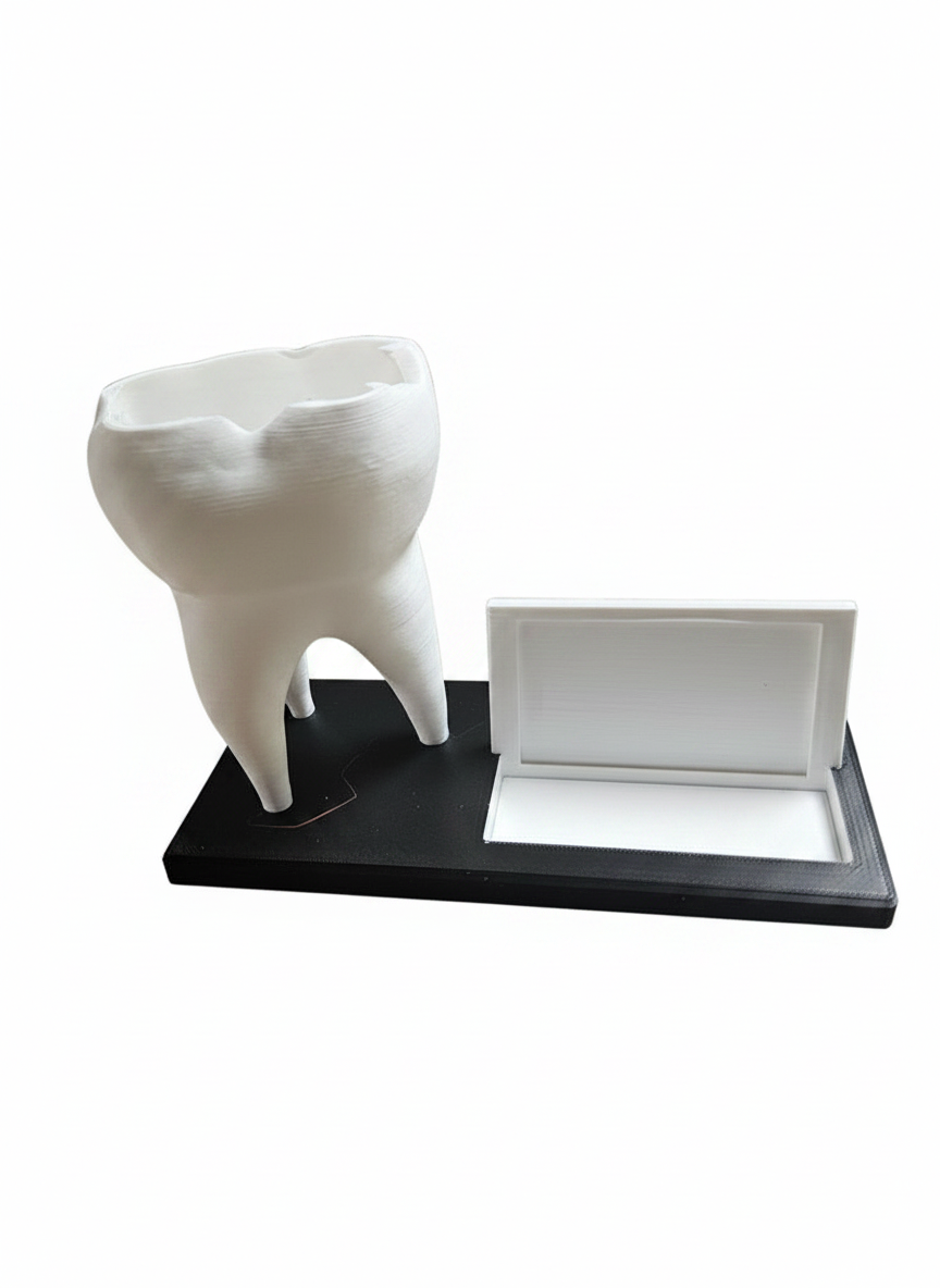 Tooth Business Card Holder